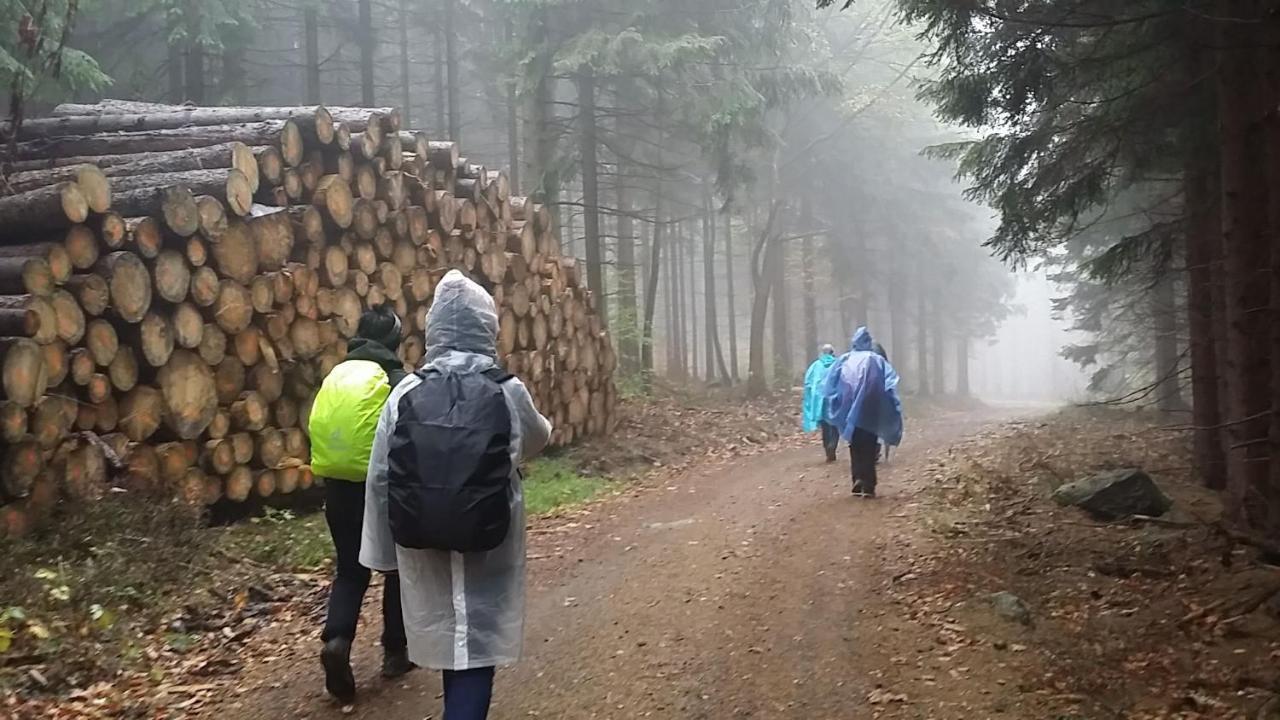 Urlaubsdomizil Am Toepfer - Ferienwohnungen In Olbersdorf Dış mekan fotoğraf