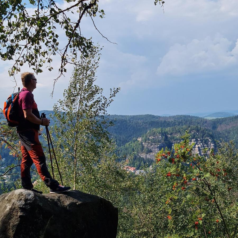 Urlaubsdomizil Am Toepfer - Ferienwohnungen In Olbersdorf Dış mekan fotoğraf