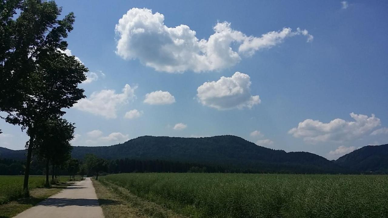 Urlaubsdomizil Am Toepfer - Ferienwohnungen In Olbersdorf Dış mekan fotoğraf