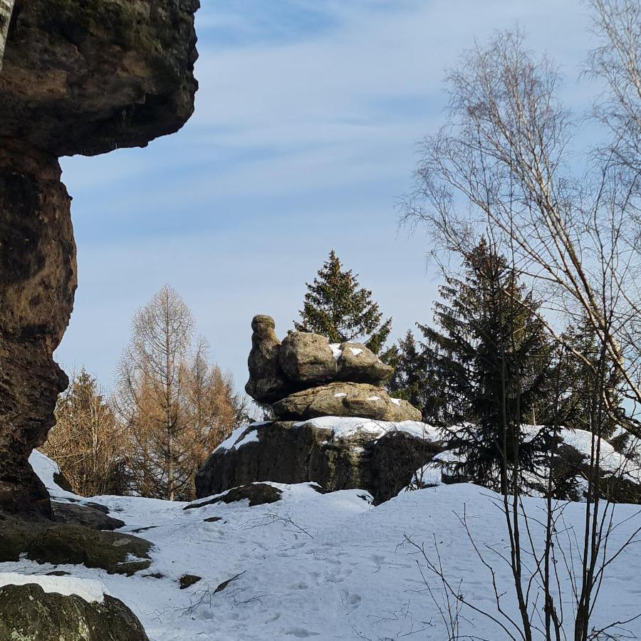 Urlaubsdomizil Am Toepfer - Ferienwohnungen In Olbersdorf Dış mekan fotoğraf