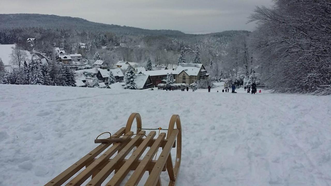 Urlaubsdomizil Am Toepfer - Ferienwohnungen In Olbersdorf Dış mekan fotoğraf