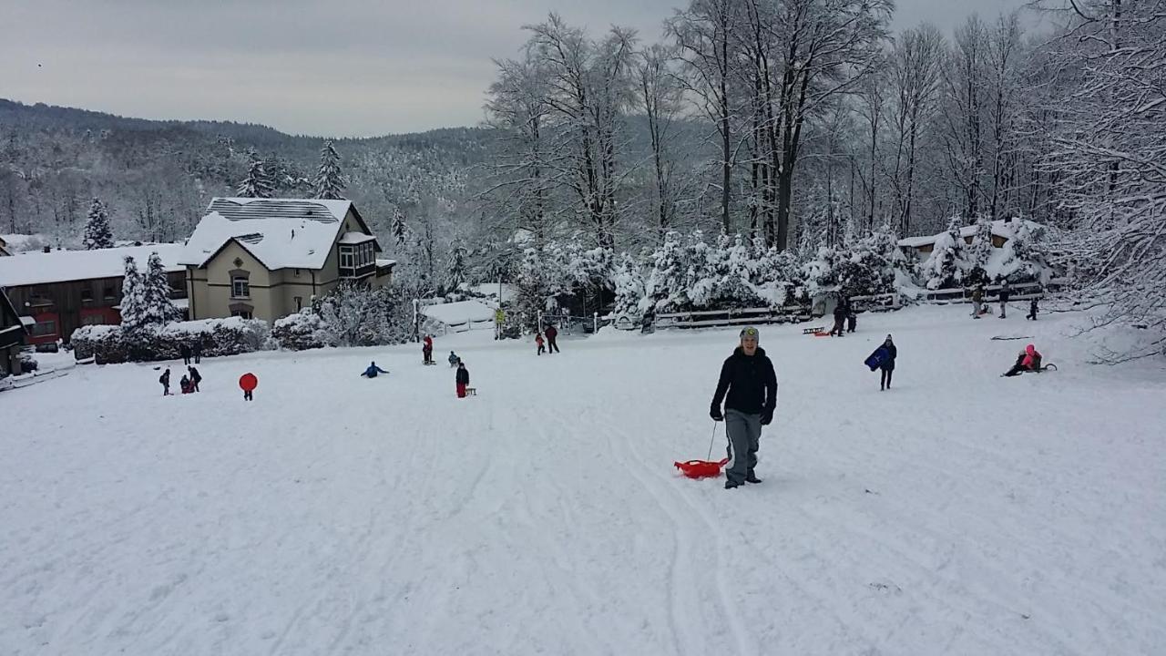 Urlaubsdomizil Am Toepfer - Ferienwohnungen In Olbersdorf Dış mekan fotoğraf