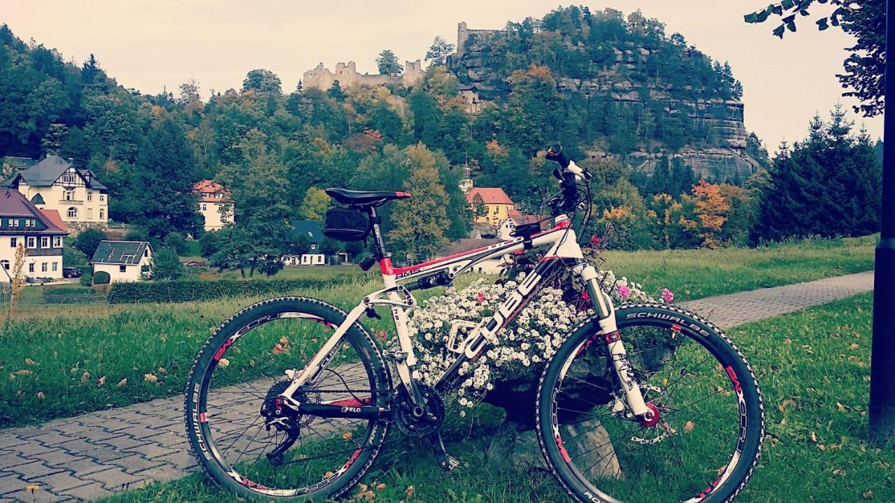 Urlaubsdomizil Am Toepfer - Ferienwohnungen In Olbersdorf Dış mekan fotoğraf